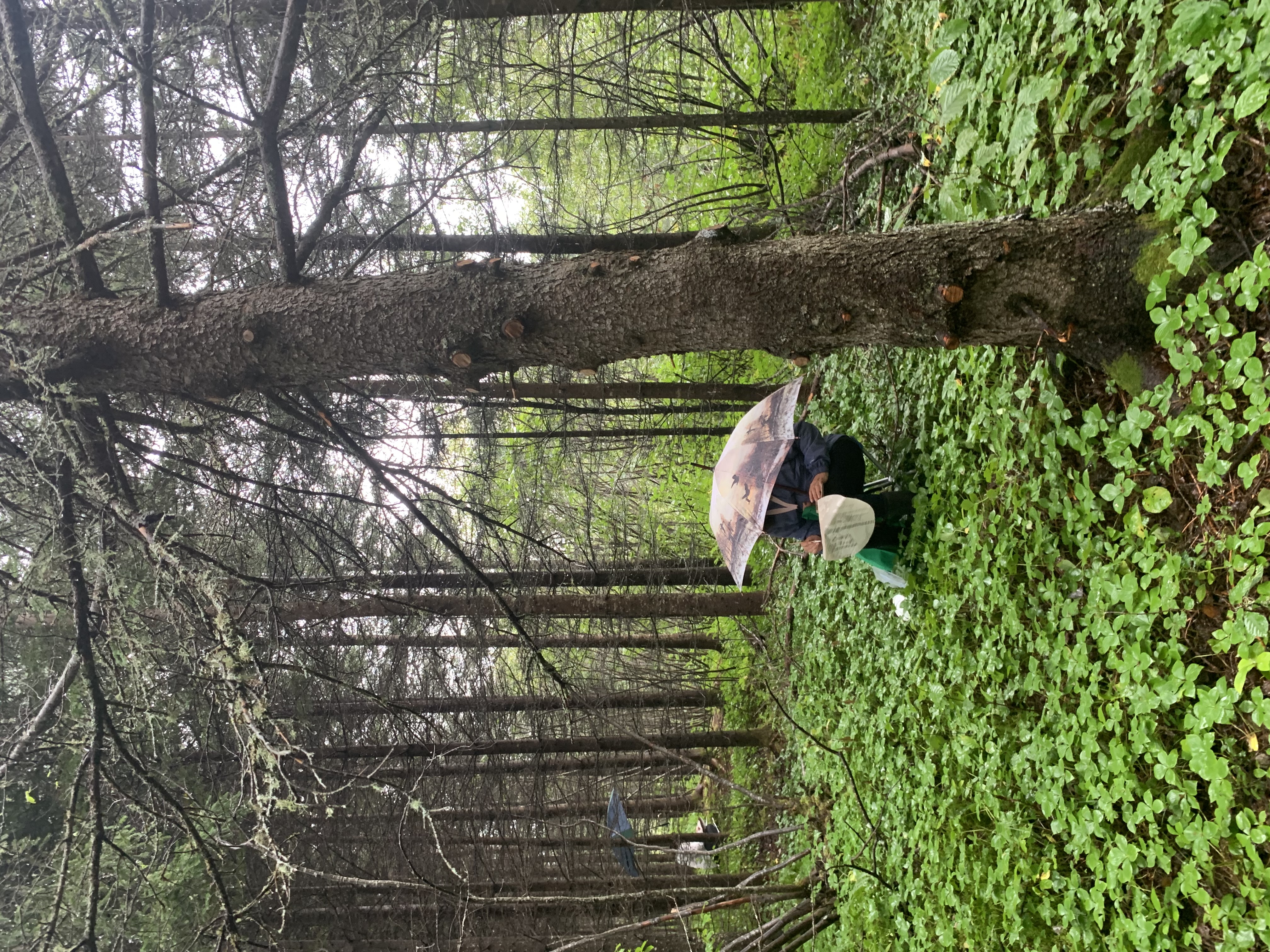 Artiste en atelier dans le sentier d'à côté